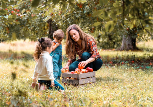 Discovering the Vibrant Annual Festivals of Southwestern Michigan